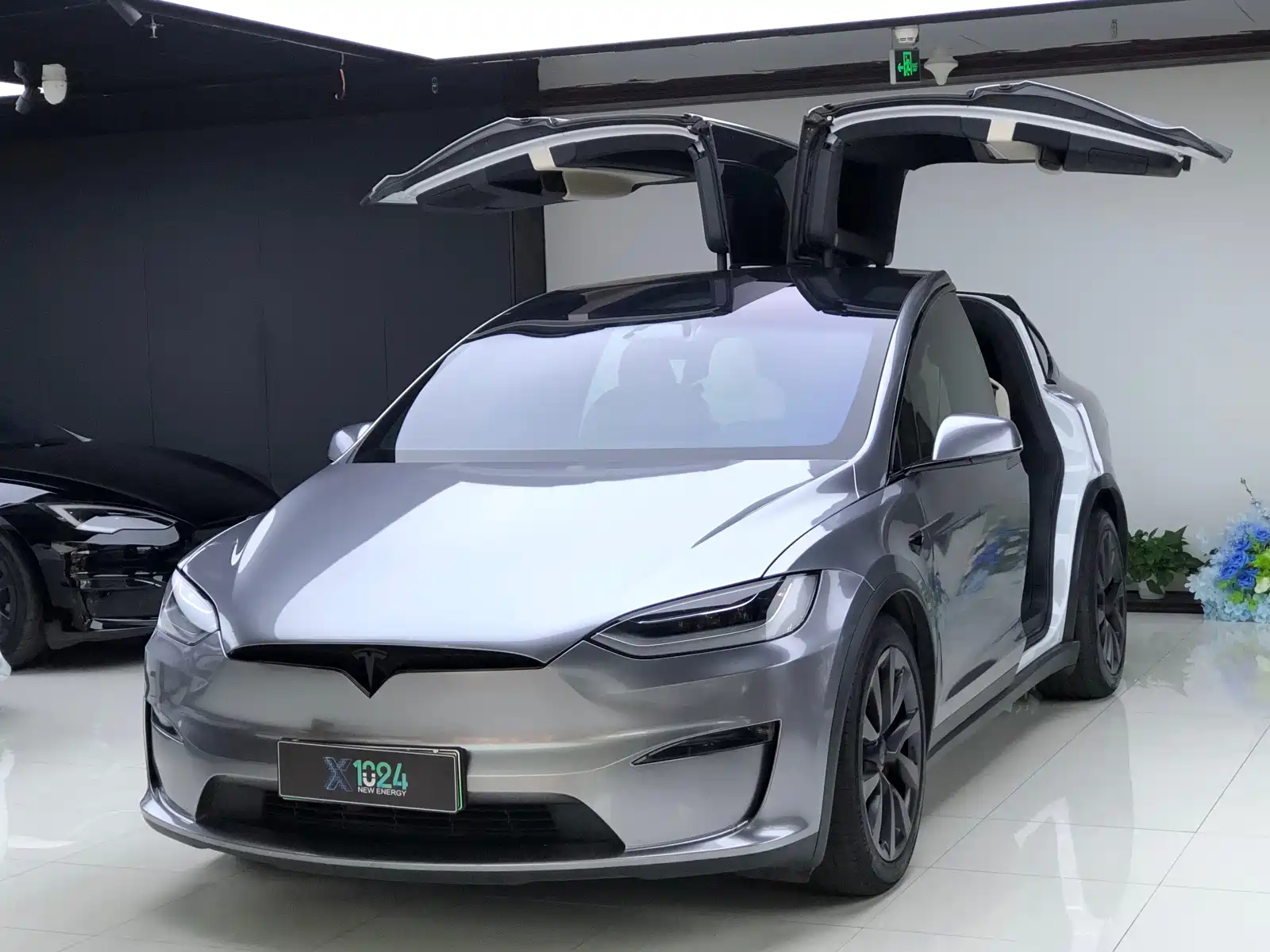 Фото 1 - Tesla Model X