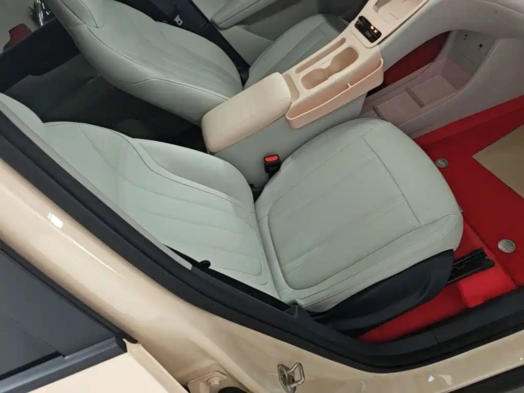 Geely Galaxy Starry Wish 2026 2026 Edition 310km Youth Version