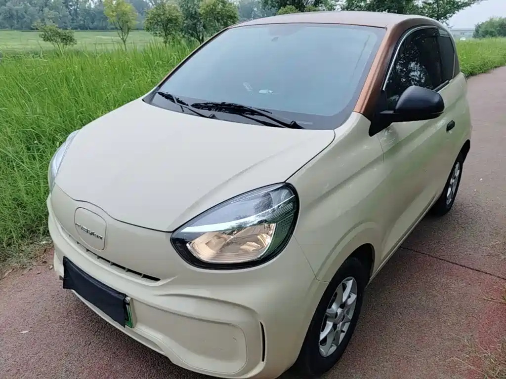 Roewe Kaiwei CLEVER 2023 2022 311km Vitality Bobo Edition