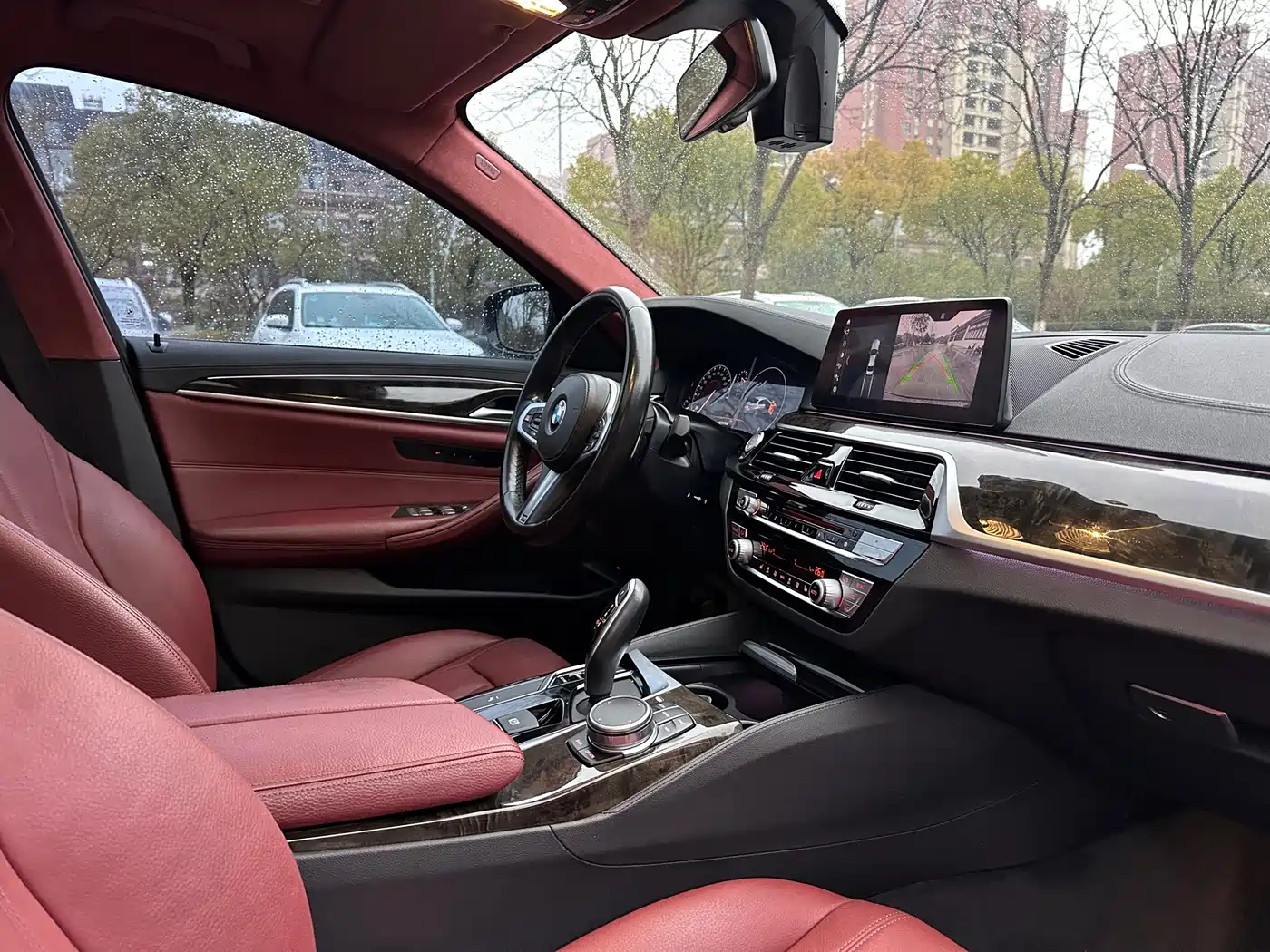 BMW 5 Series 2019 530Li Leading M Sport Package фото 12