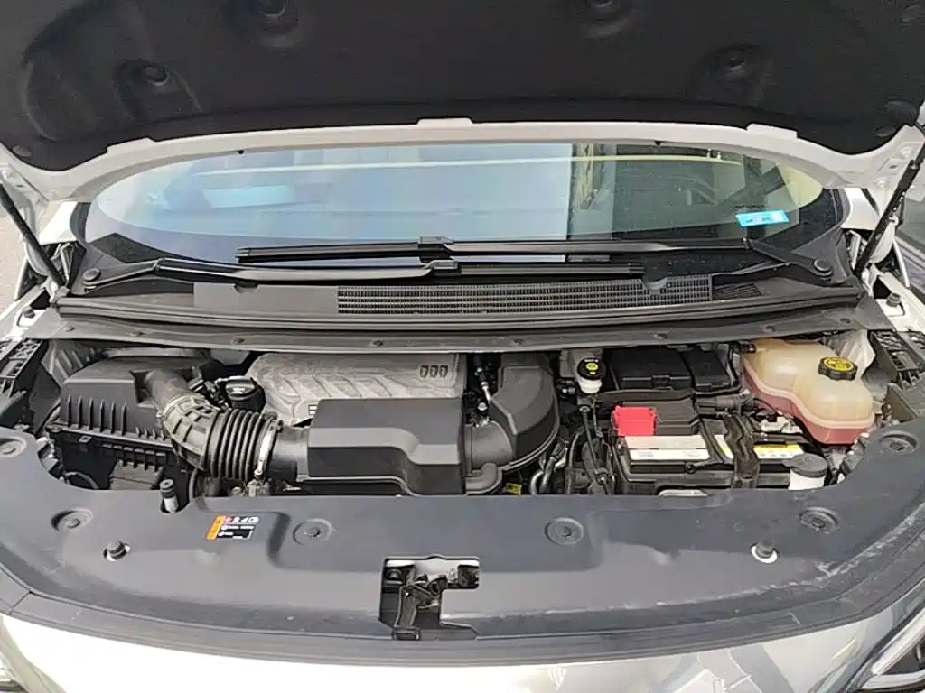 Buick Century 2024 2023 2.0T 7-seater Premium