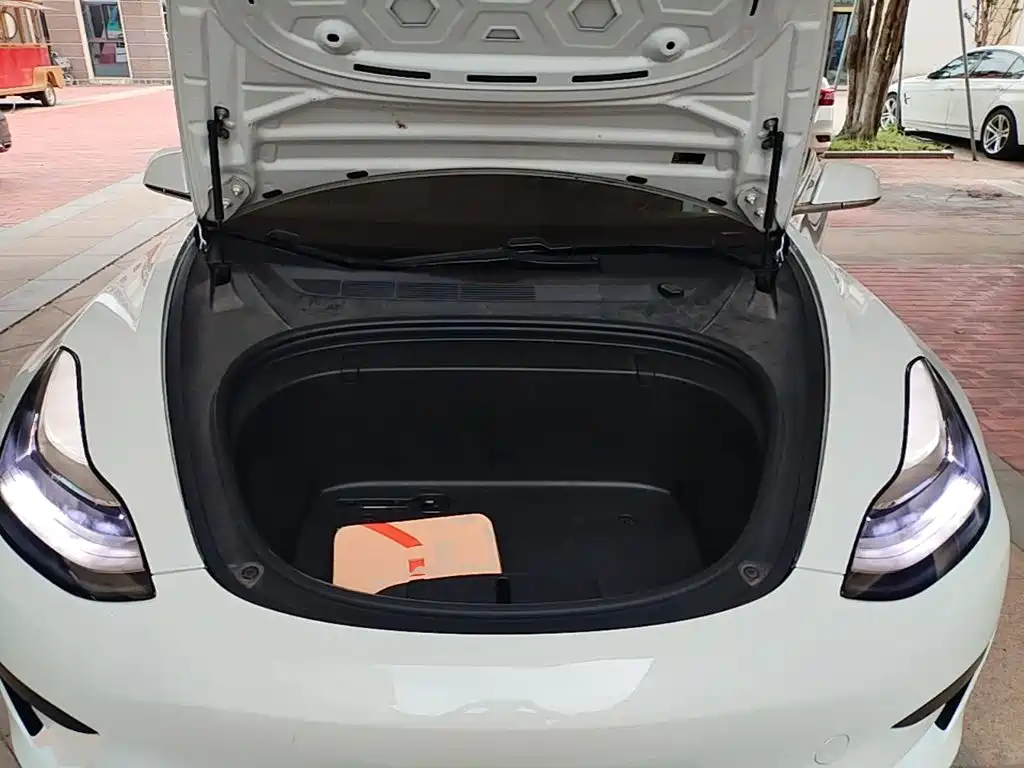 Tesla Model 3 2020 2020 Standard Range Rear-Wheel Drive Upgrade