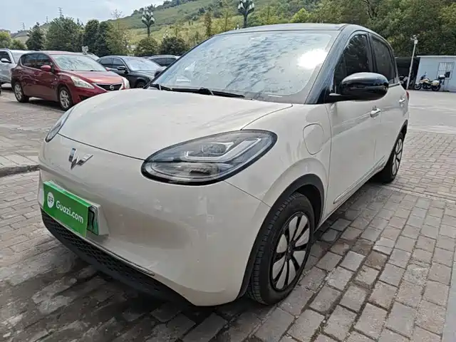 Wuling Motors Wuling Bingo 2024