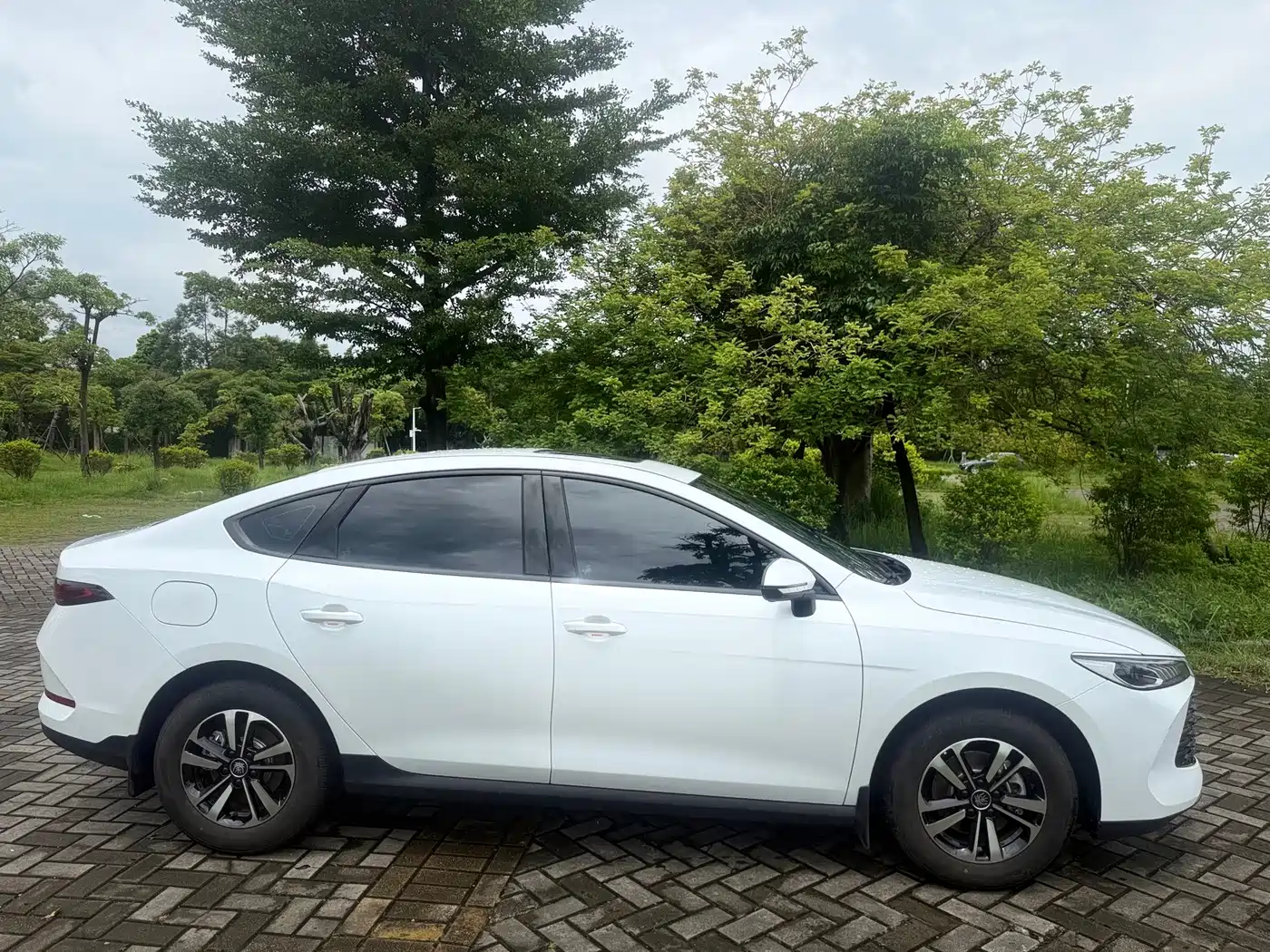 2026 BYD Qin PLUS