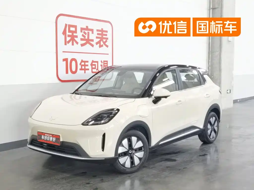 Wuling Motors Wuling Bingo S 2025 Model 325km Premium Edition
