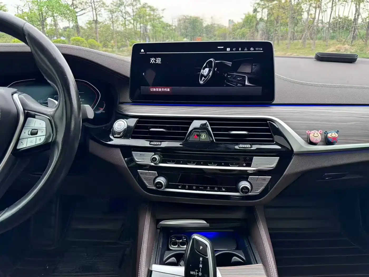 BMW 5 Series 2021 Facelift 530Li Leading Luxury Package фото 13