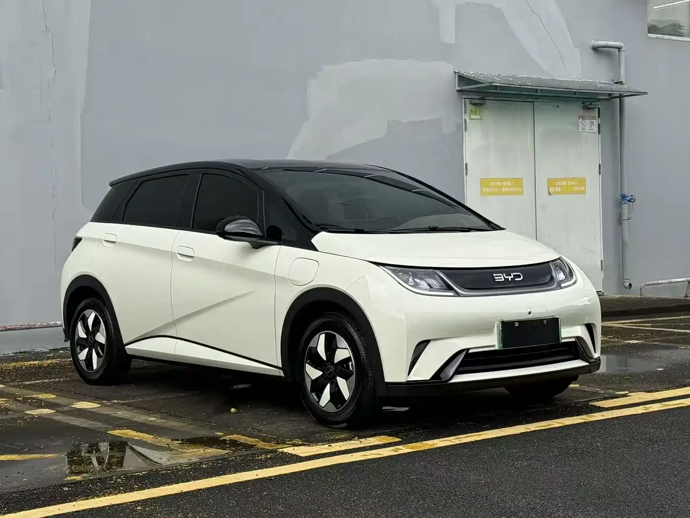 2026 BYD Dolphin