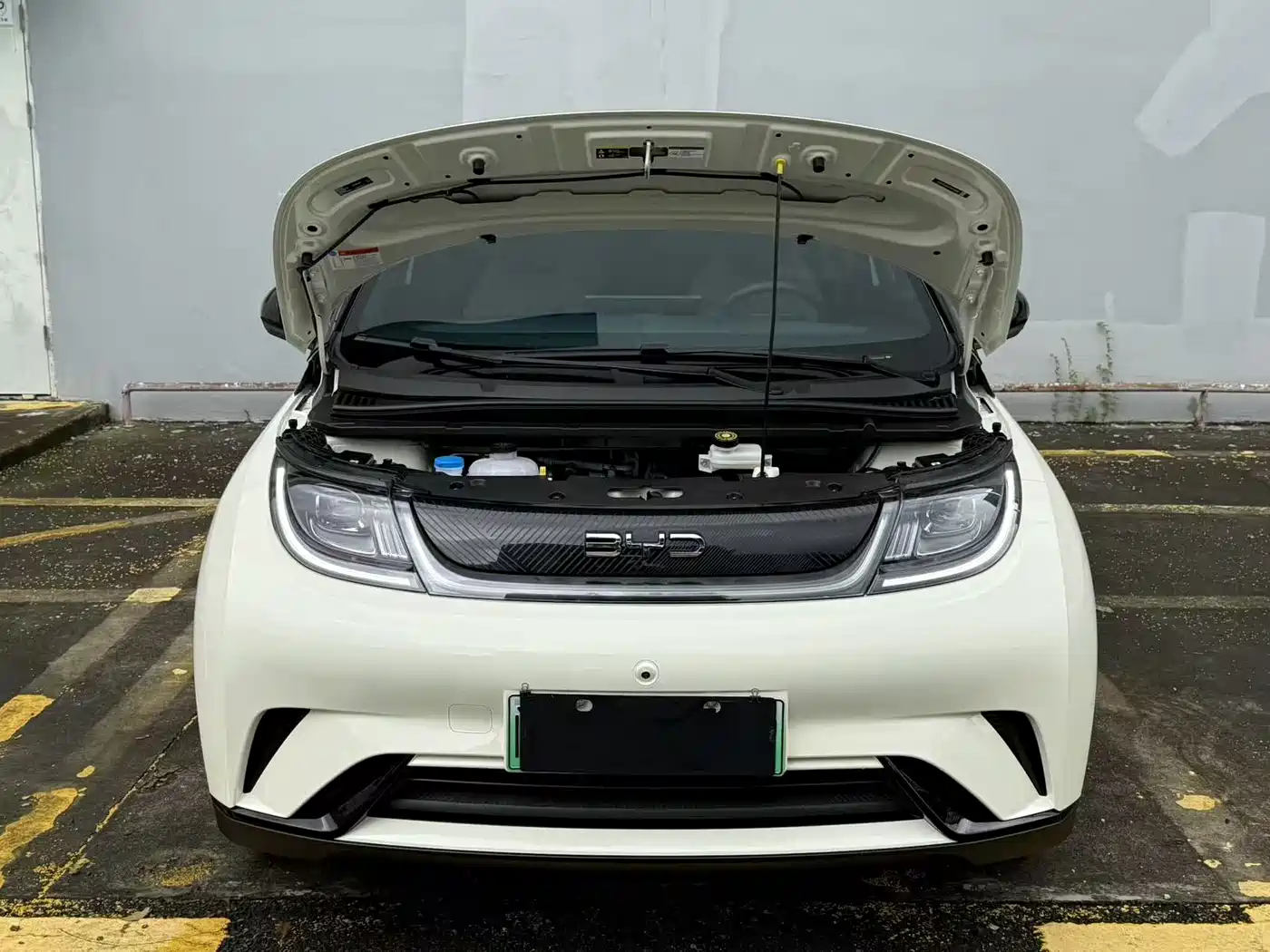 BYD Dolphin 2026 2025 420km Freedom Edition