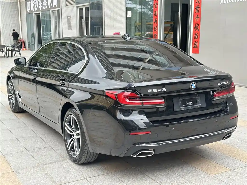 BMW 5 Series 2021 530Li Leading Luxury Package фото 8
