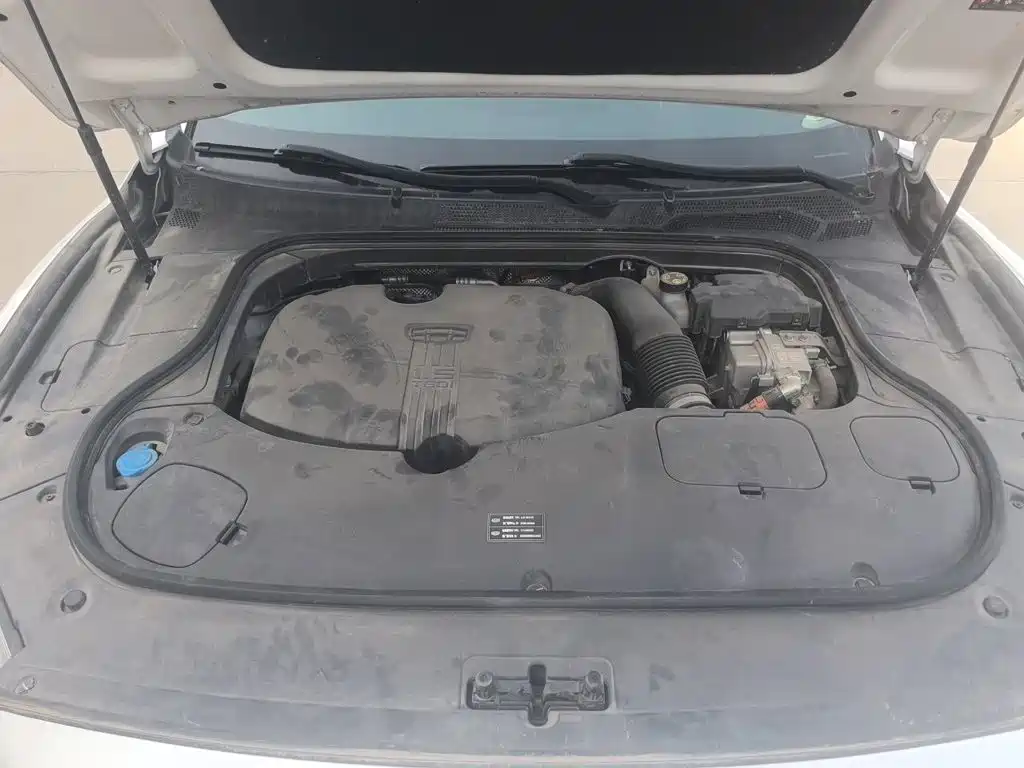 Geely Borui PHEV 2021 2021 1.5T ePro Leading Glory Edition
