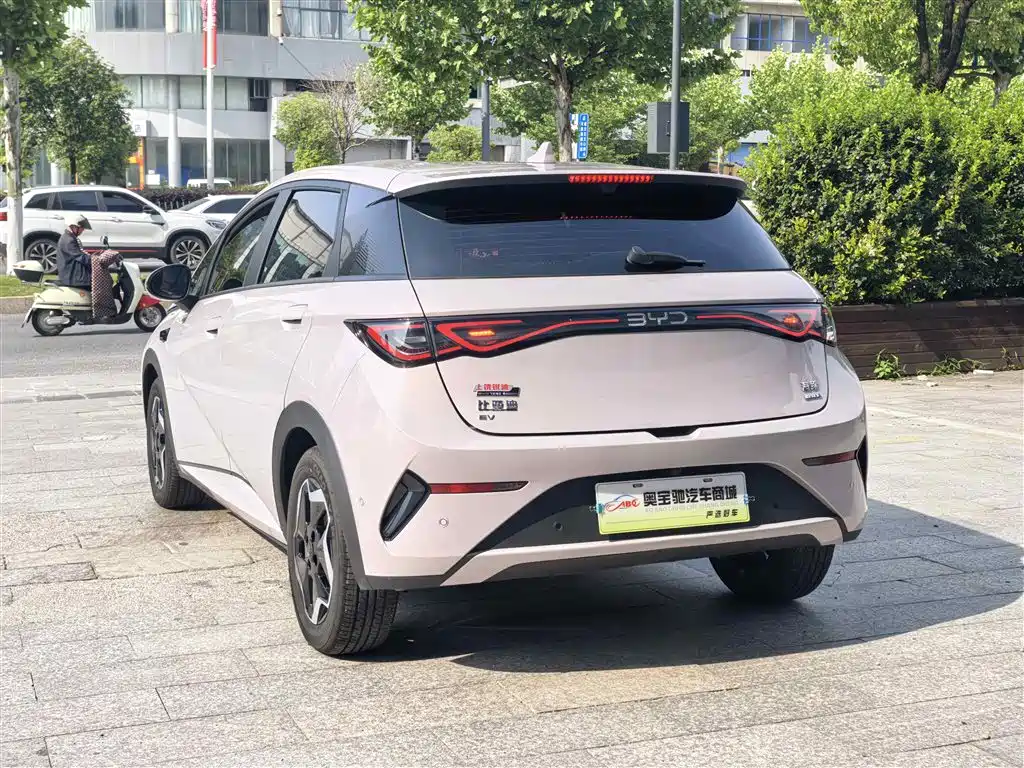 BYD Dolphin 2025 Smart Drive Edition 420km Freedom Version фото 9
