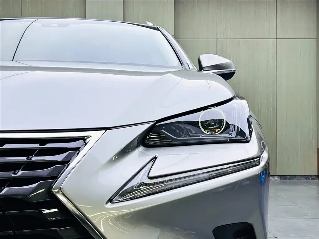 Lexus NX 2018 Model 300 AWD Fengshang Edition фото 7