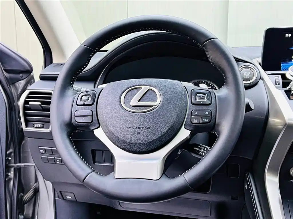 Lexus NX 2018 Model 300 AWD Fengshang Edition фото 10