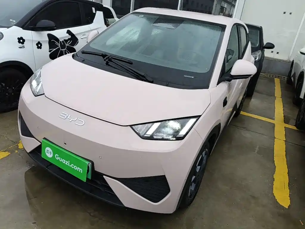 BYD Seagull 2026 2025 Smart Drive Edition 305km Freedom Version