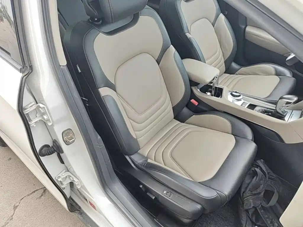DS 6 2018 2016 1.6T Luxury THP160