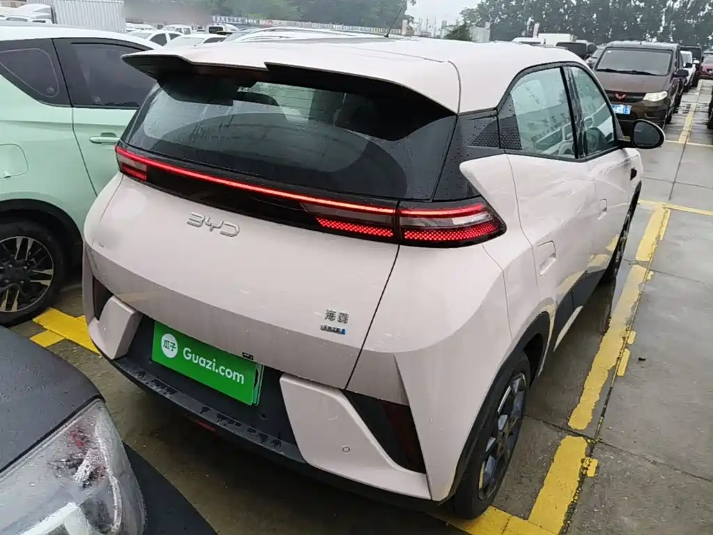 BYD Seagull 2026 2025 Smart Drive Edition 305km Freedom Version