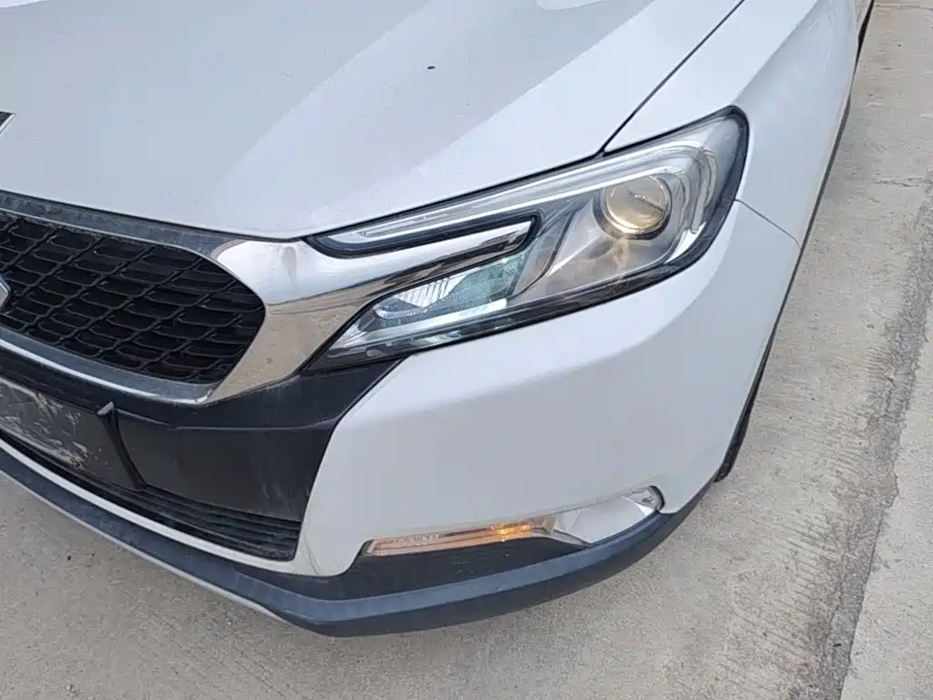DS 6 2018 2016 1.6T Luxury THP160