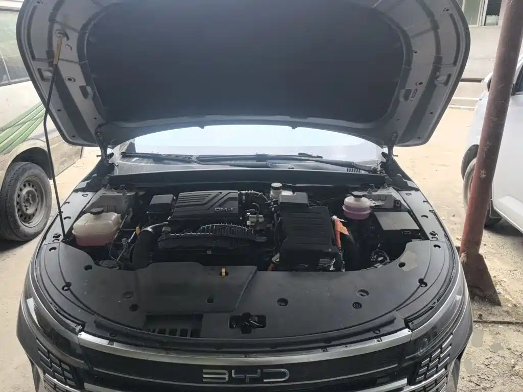 BYD Destroyer 05 2024 2024 Glory Edition DM-i 55KM Luxury