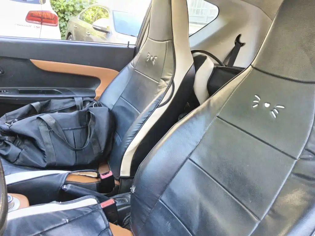 QQ New Energy Little Ant 2019 2018 400 4-Seater Premium Smart Edition