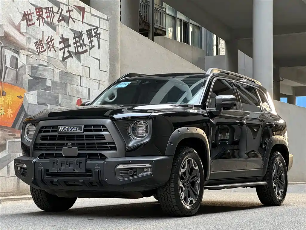 HAVAL BIG DOG