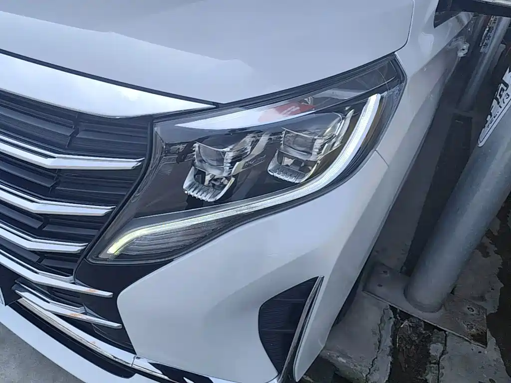 GAC Trumpchi M8 2025 2024 Leadershow Series 390T Premium Edition