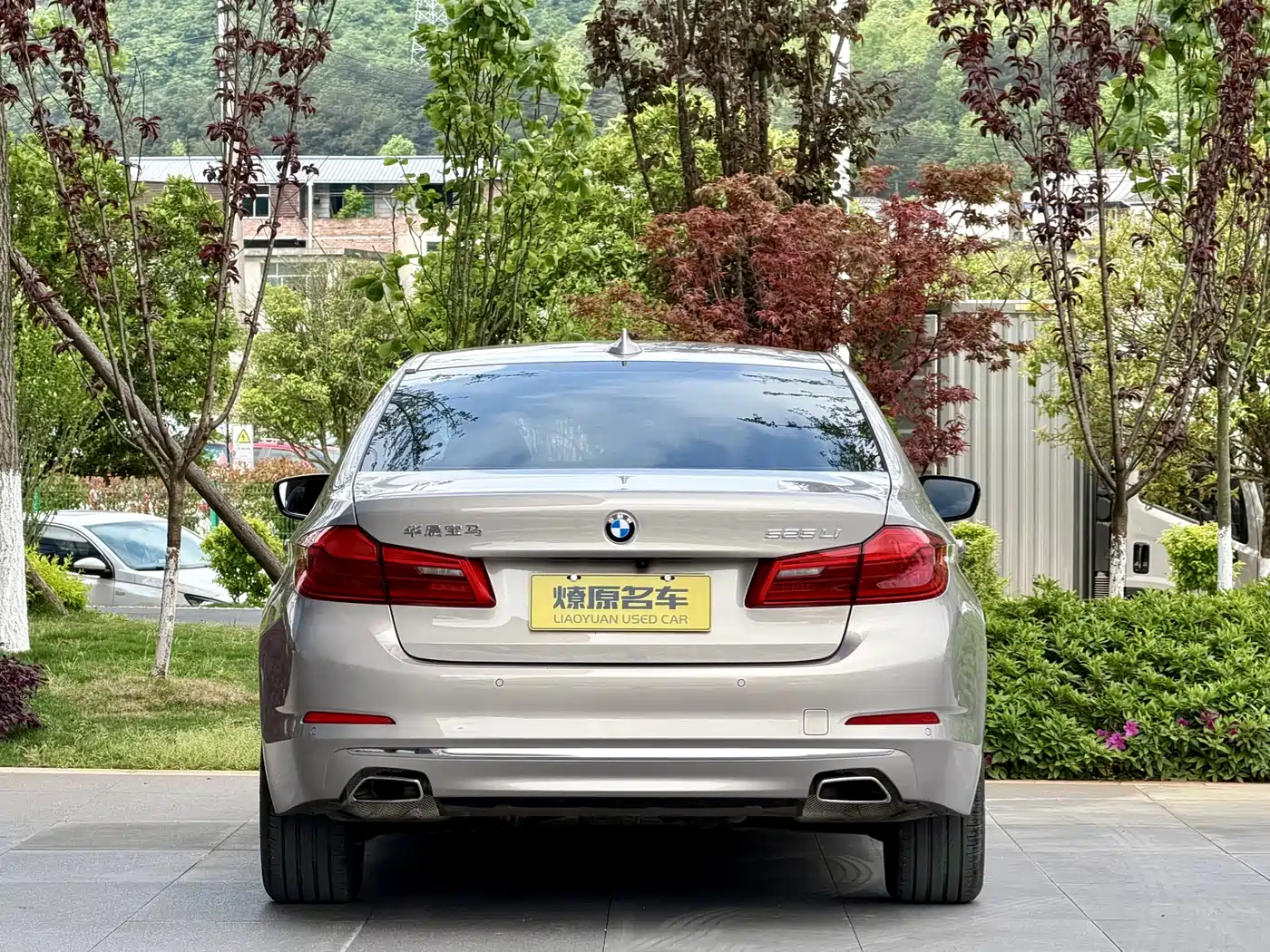 BMW 5 Series 2020 525Li Luxury Package фото 5