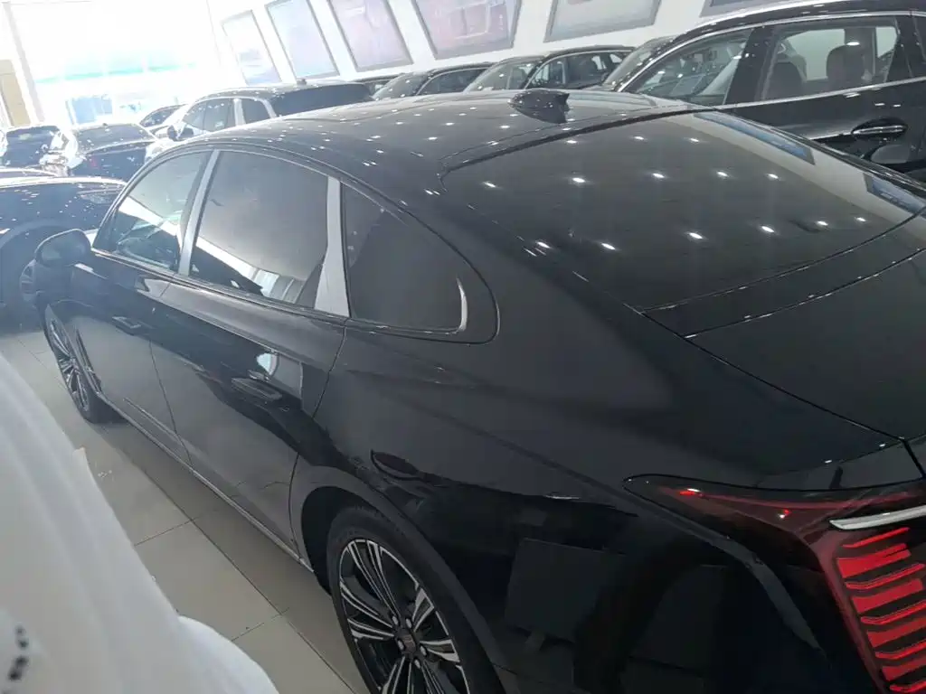 Hongqi H9 2026 2024 2.0T Qi Chang Private Fashion Edition