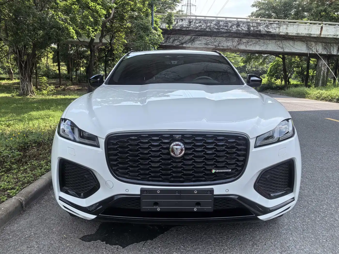 Jaguar F-PACE 2023 2023 P250 R-Dynamic BLACK