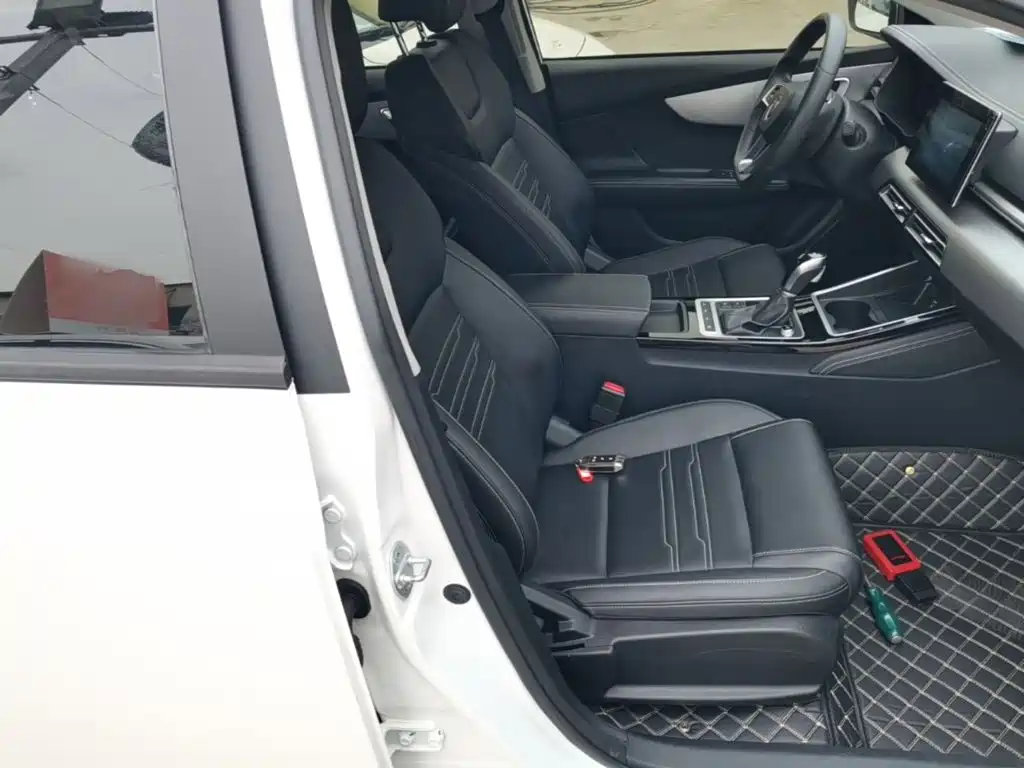 BYD Qin 2020 2019 1.5L Automatic Luxury Edition