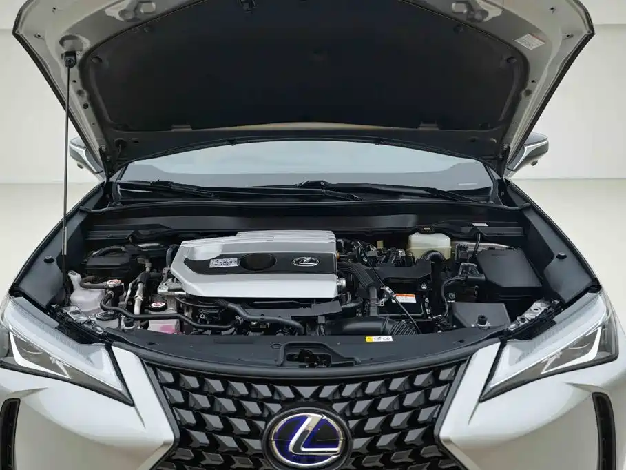 Lexus UX 2021 2020 260h Explore Cool Edition