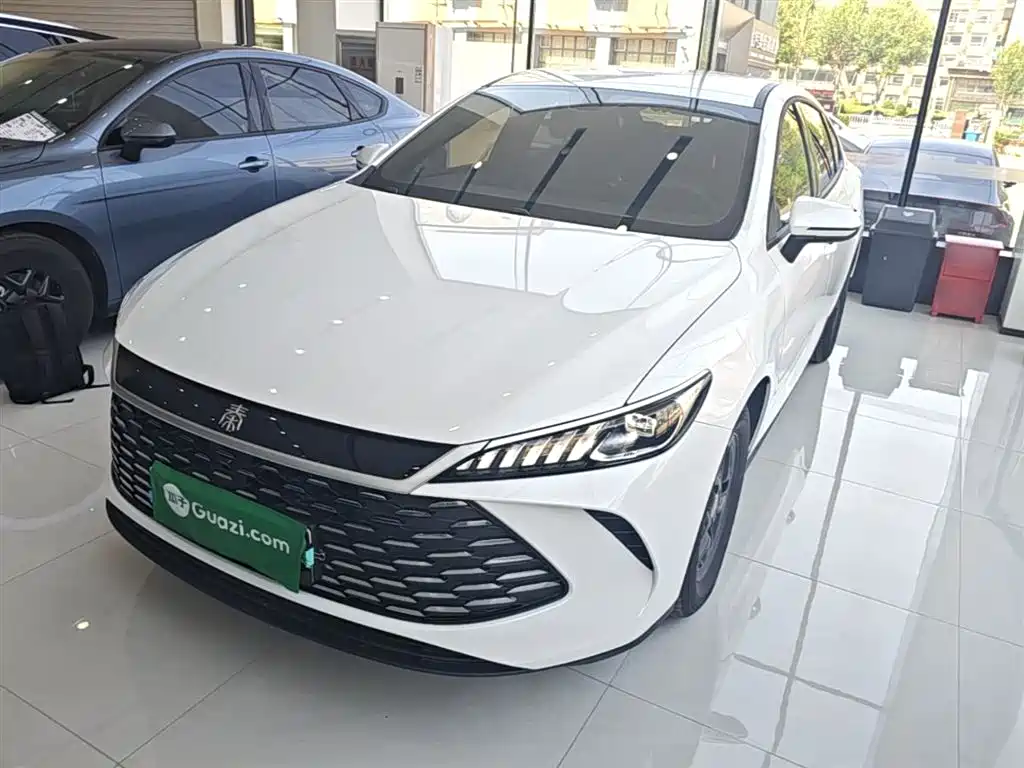 BYD Qin PLUS 2025 DM-i Smart Drive 55KM Leader