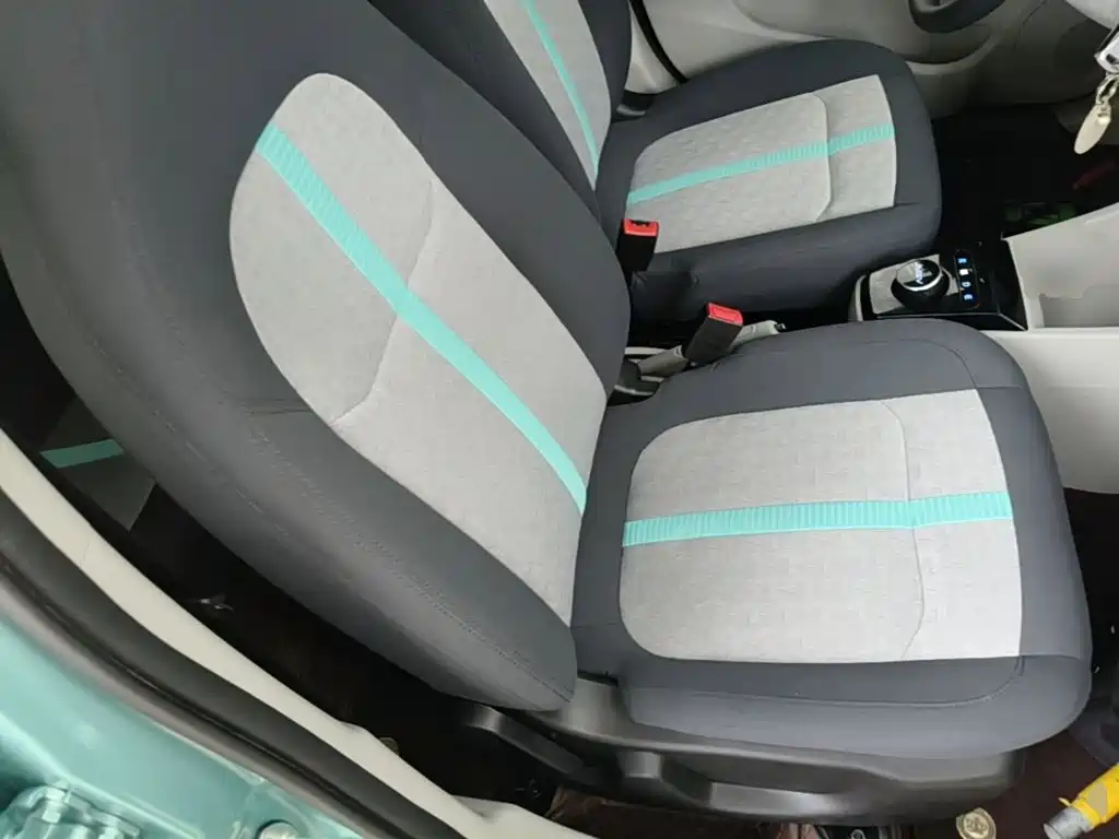 JMCG New Energy Little Kirin 2025 2024 201km Comfort Model