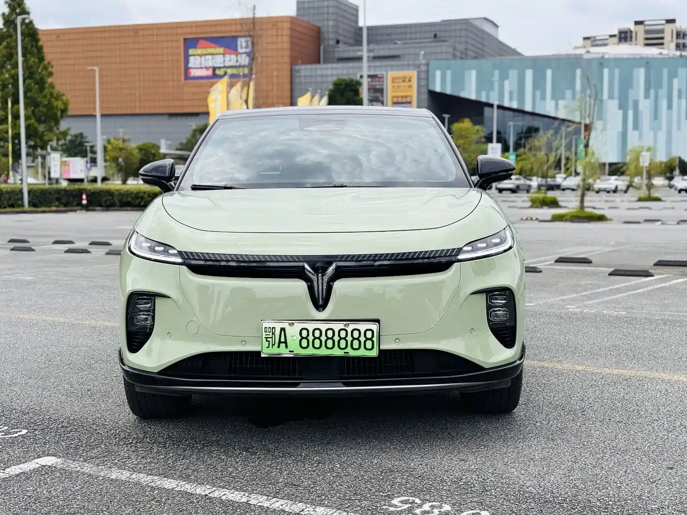 2025 Voyah Auto Voyah Zhiyin