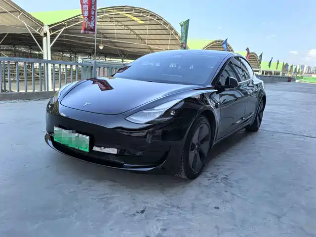Tesla Model 3 2021