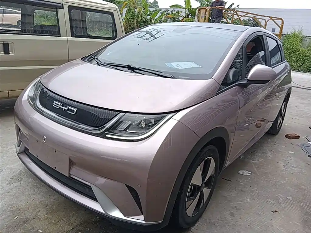 BYD Dolphin 2023 420km Fashion Edition