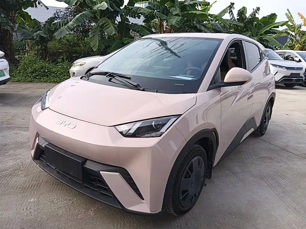 BYD Seagull 2024 Glory Edition 305km Vitality Edition