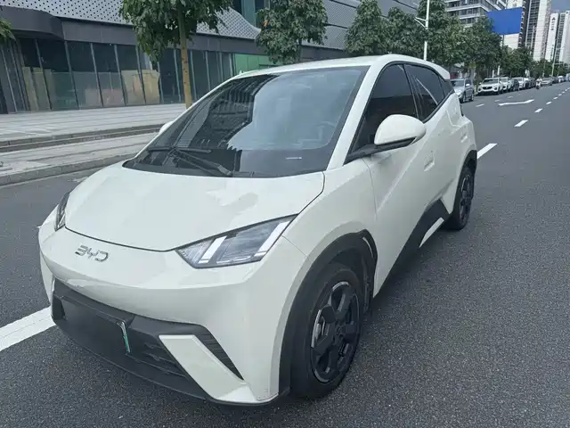 BYD Seagull 2024 Glory Edition 305km Freedom Edition — фото 1