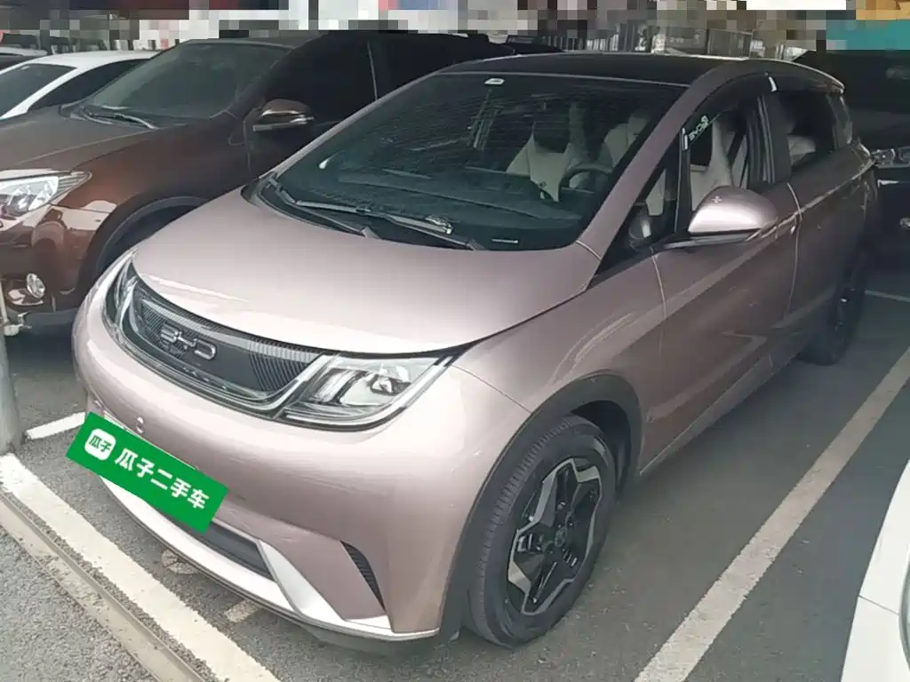 BYD Dolphin 2021