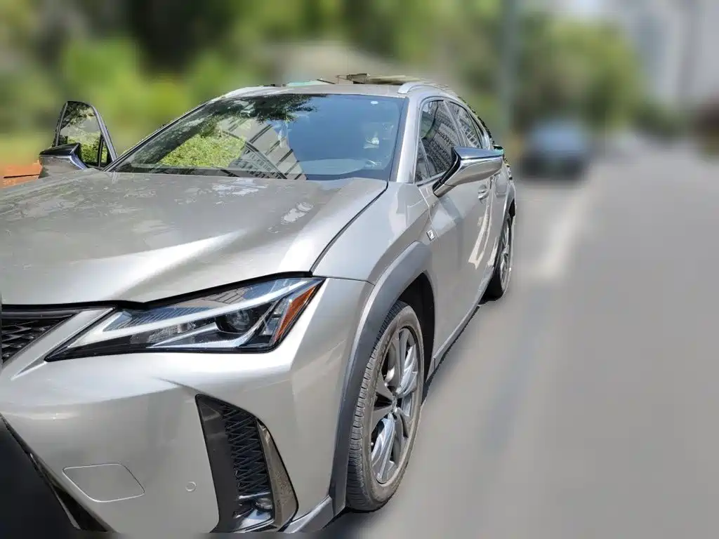 Фото 1 - Lexus UX