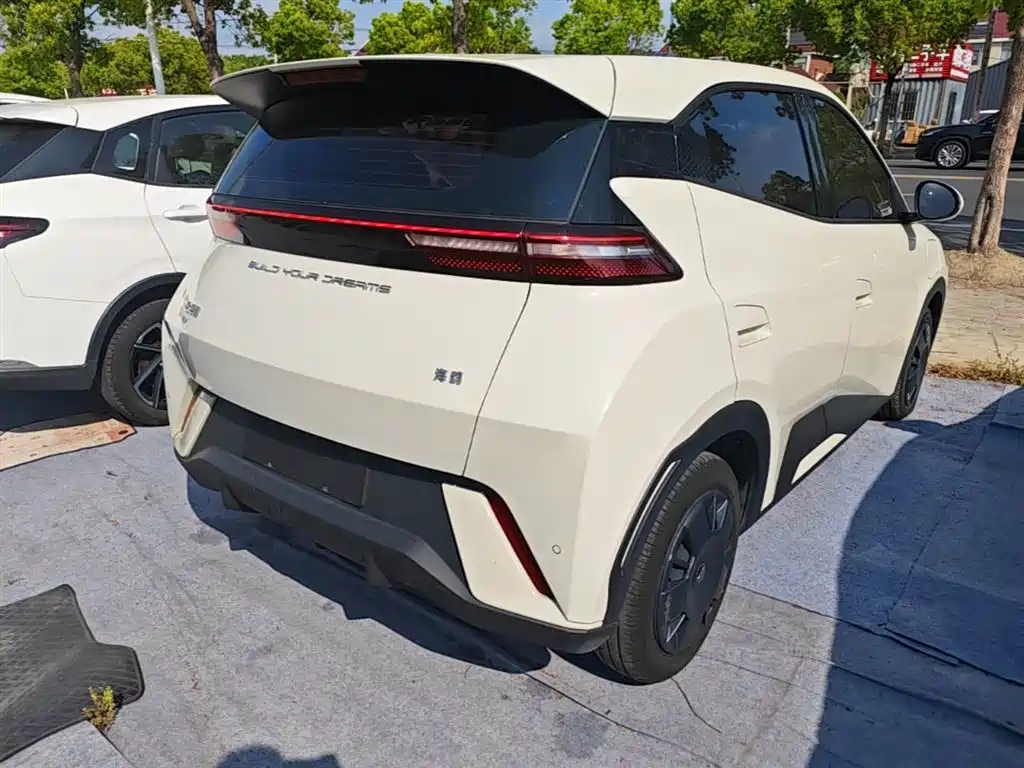 BYD Seagull 2024 Glory Edition 305km Vitality Edition фото 8