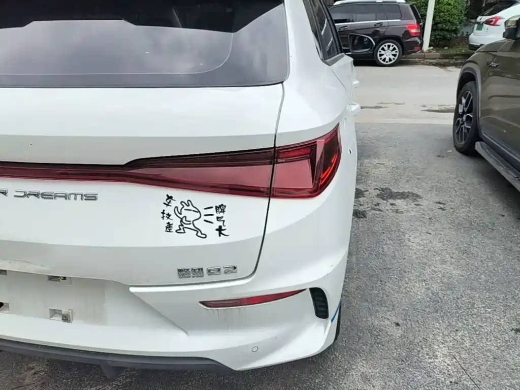 BYD e2 2020 2019 Long Range Yao·Luxury Model
