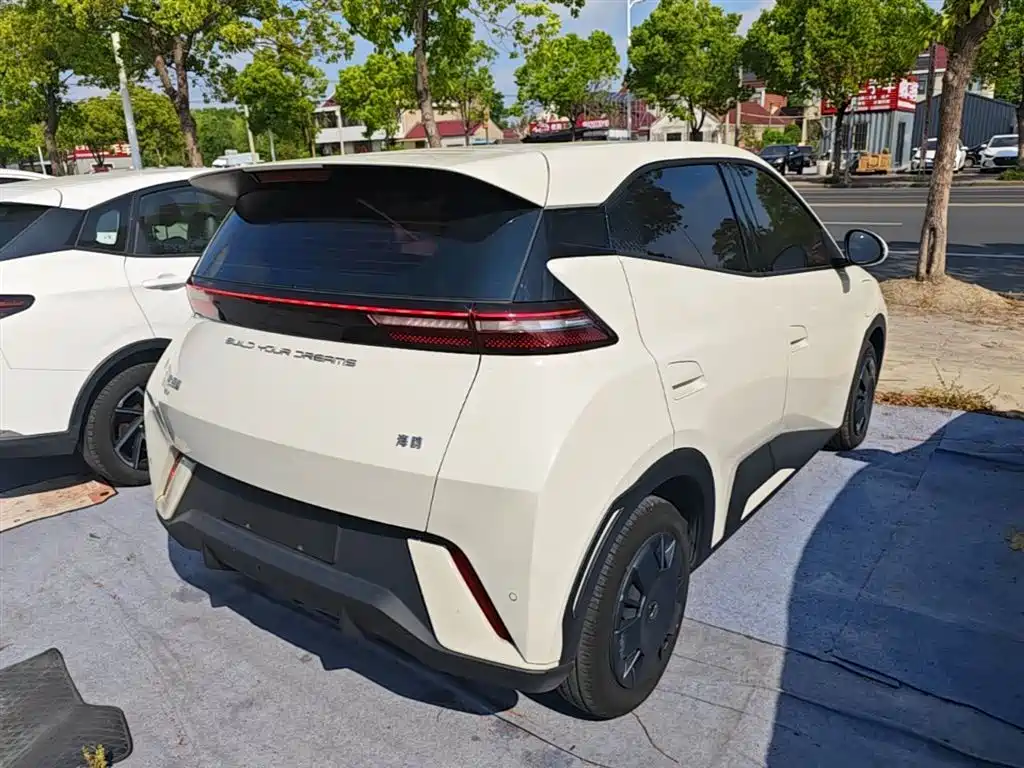 BYD Seagull 2024 Glory Edition 305km Vitality Edition фото 7