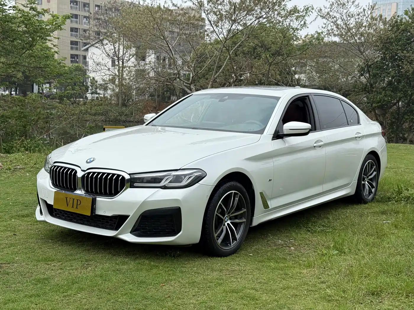 BMW 5 SERIES
