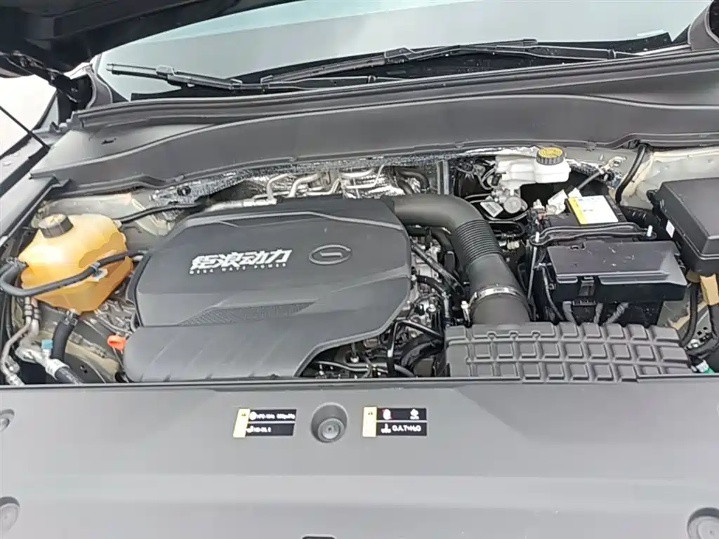 GAC Trumpchi Trumpchi GS8 2022 Pilot Series 2.0TGDI 2WD Luxury Smart Connect Edition (7-Seater) фото 19