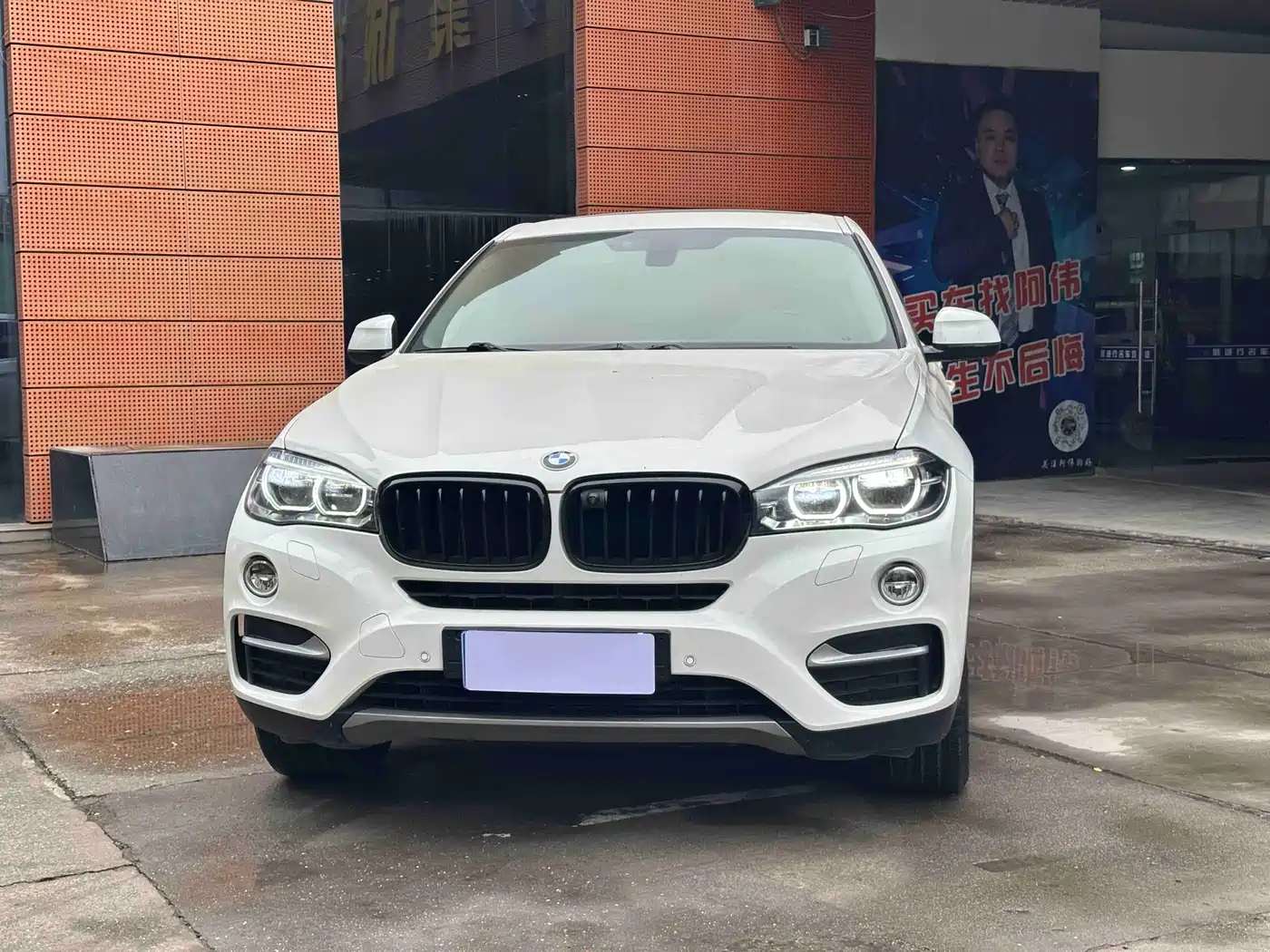 BMW X6 2018 xDrive35i Leading Model фото 2