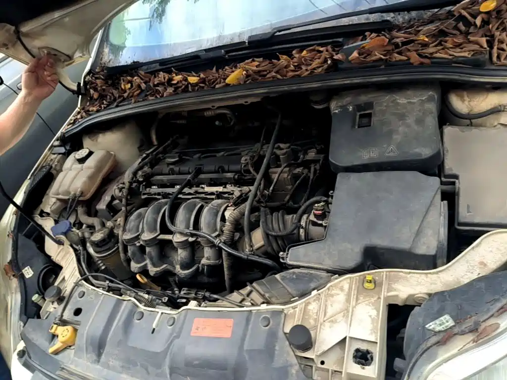 Фото 20 - Ford Focus