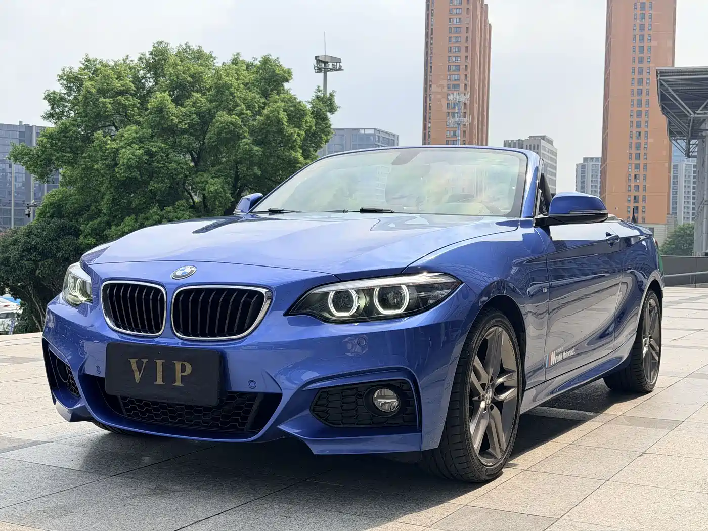 BMW 2 Series (Import)