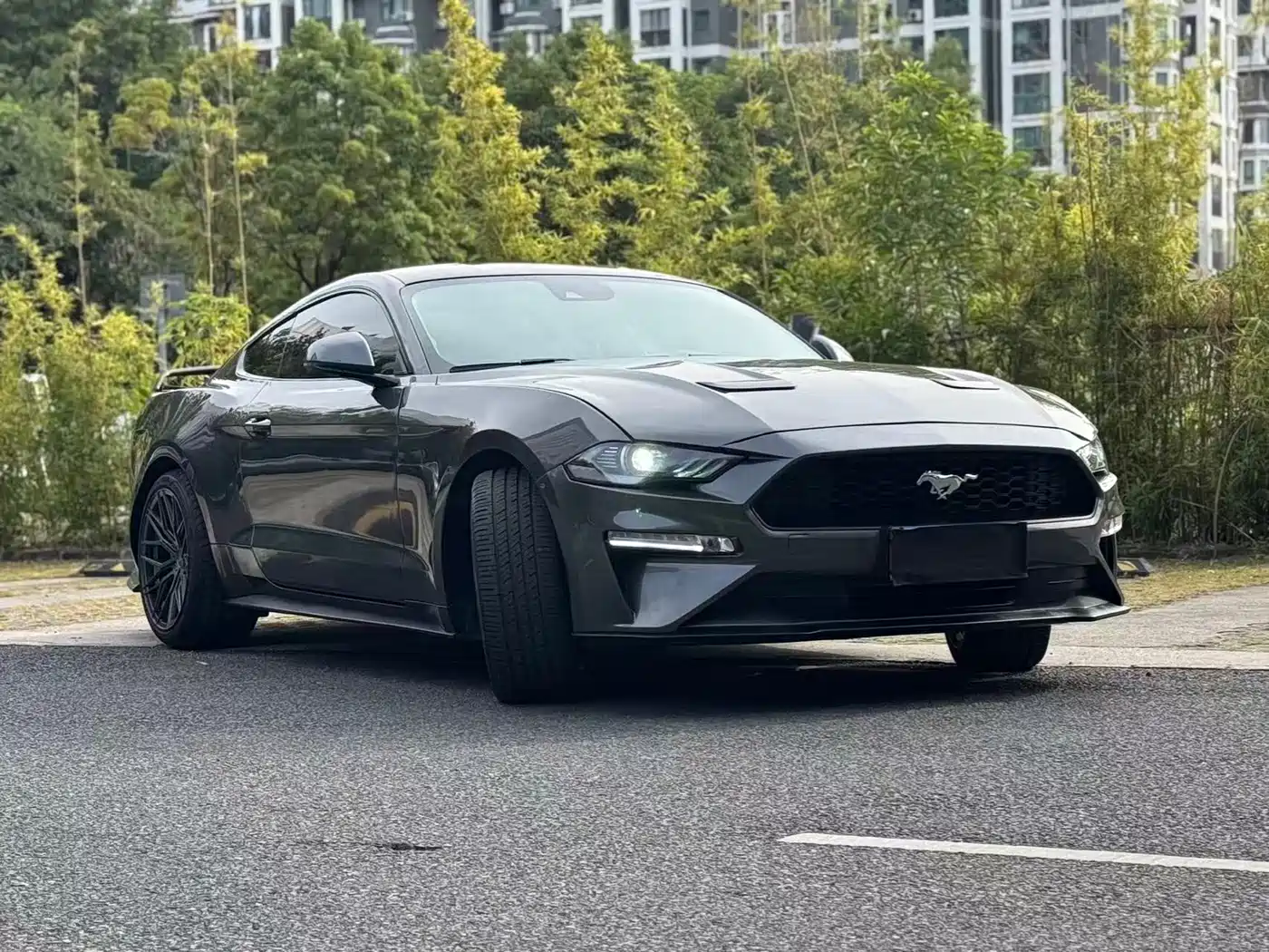 Ford Mustang 2020 2.3L EcoBoost Obsidian Phantom Special Edition фото 14