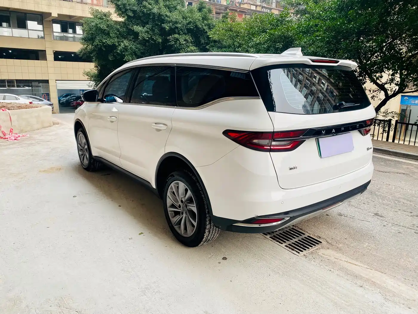 RUILAN AUTOMOBILE MAPLE LEAF 80V PRO