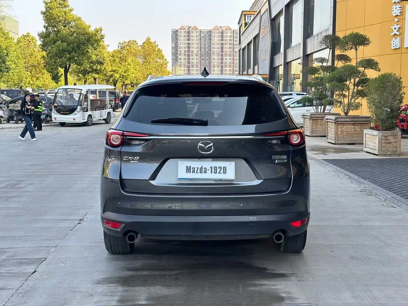 Mazda CX-8 2019 2019 2.5L AWD Premium Model
